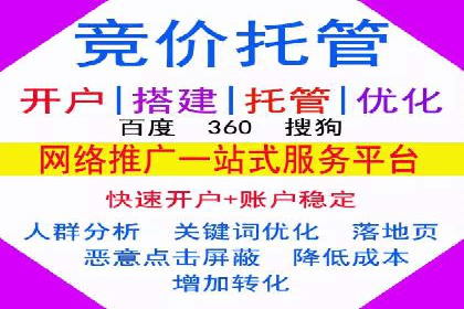 网络推广竞价实战：某电商平台的成功案例